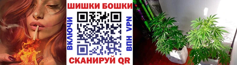 Купить закладки  Багратионовск  Канабис MAZAR 